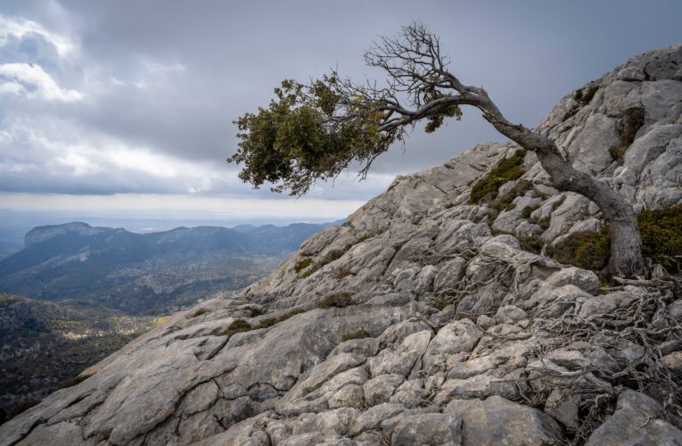 Lakeland: The Importance of Resilience in Overcoming Trauma